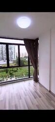 La Fiesta (D19), Condominium #438609161